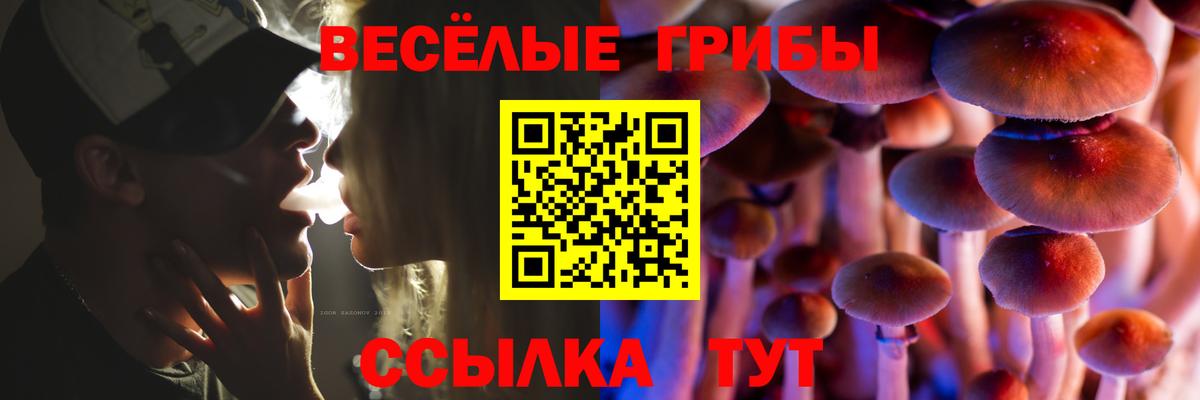 Галлюциногенные грибы GOLDEN TEACHER  Псилоцибиновые грибы мухоморы  Киржач  Вход с VPN 